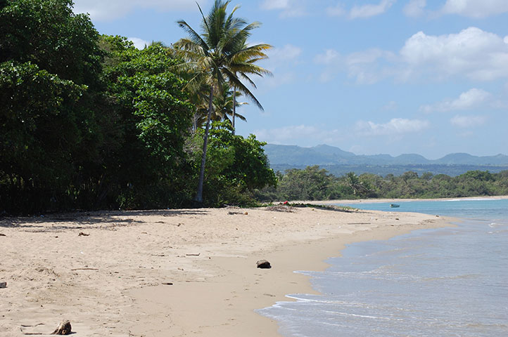 beach punta cana wedding